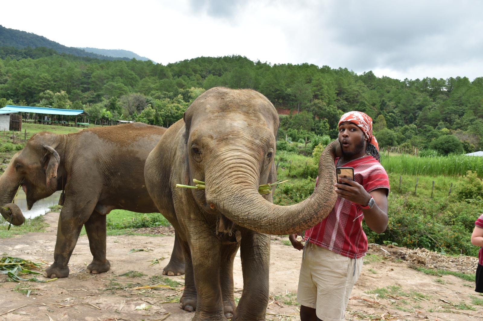 A nursing student is surprised by an elephant giving him a hug with its trunk during the immersion program in Thailand