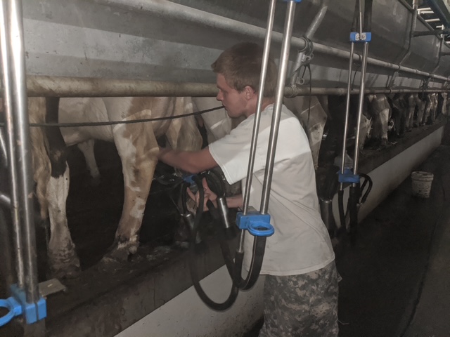 Joseph Green helps milk cows on the farm he grew up on near Monroe, WI.