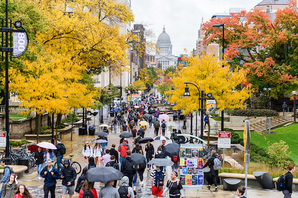 Pedestrians walk along Library Mall during a rainy day in fall at the University of Wisconsin-Madison on Oct. 10, 2018. (Photo by Bryce Richter /UW-Madison)