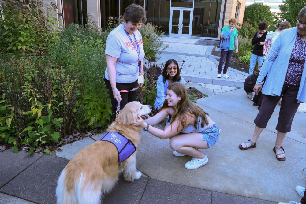 Students pet a Golden Retriever during the Dogs on Call wellness event.