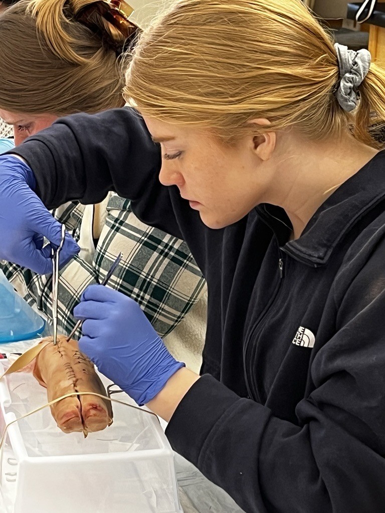 Stanek practices suturing skills during a DNP class.